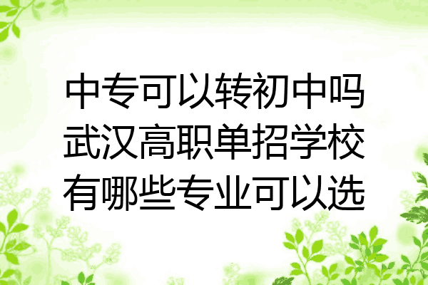 中专可以转初中吗武汉高职单招学校有哪些专业可以选