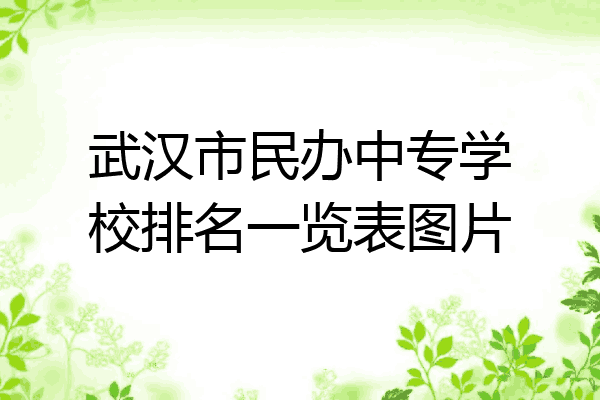 武汉市民办中专学校排名一览表图片