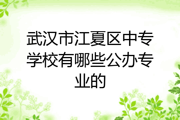 武汉市江夏区中专学校有哪些公办专业的