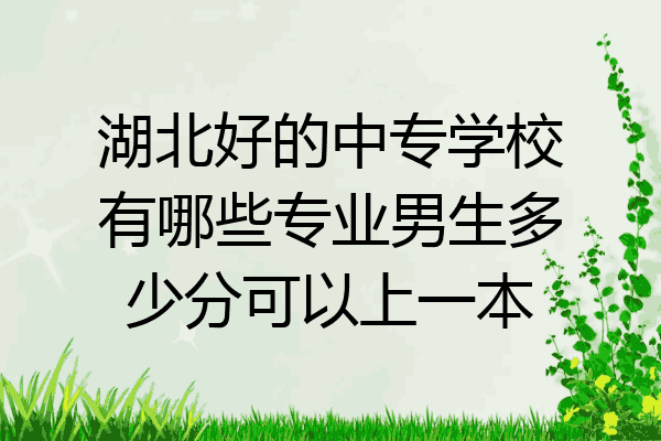 湖北好的中专学校有哪些专业男生多少分可以上一本