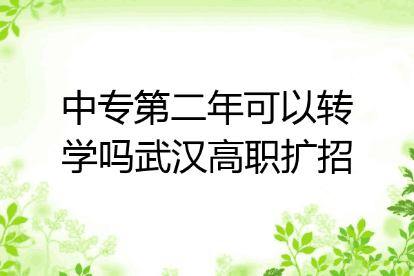 中专第二年可以转学吗武汉高职扩招