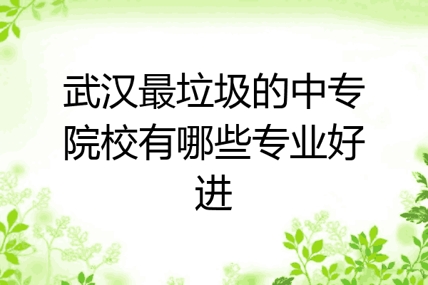 武汉最垃圾的中专院校有哪些专业好进