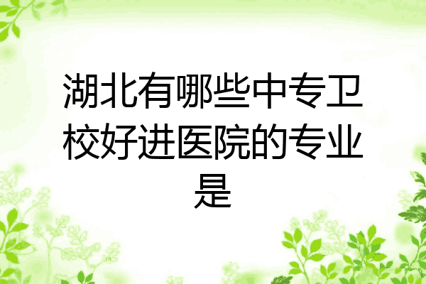 湖北有哪些中专卫校好进医院的专业是