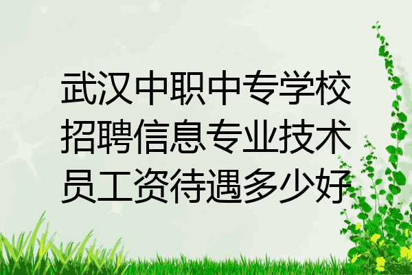 武汉中职中专学校招聘信息专业技术员工资待遇多少好