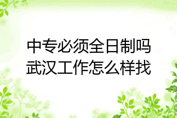 中专必须全日制吗武汉工作怎么样找