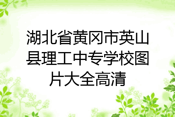 湖北省黄冈市英山县理工中专学校图片大全高清