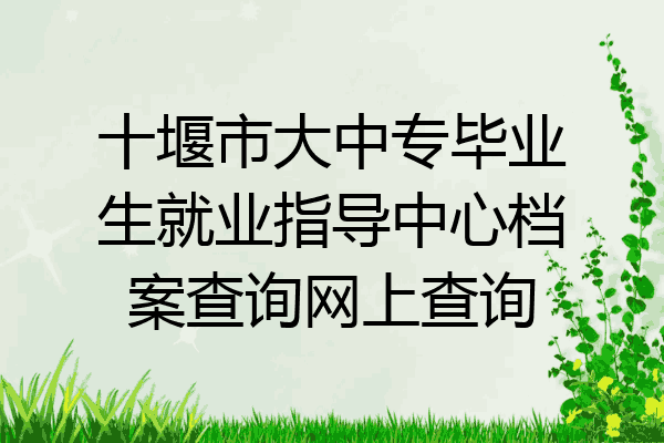 十堰市大中专毕业生就业指导中心档案查询网上查询