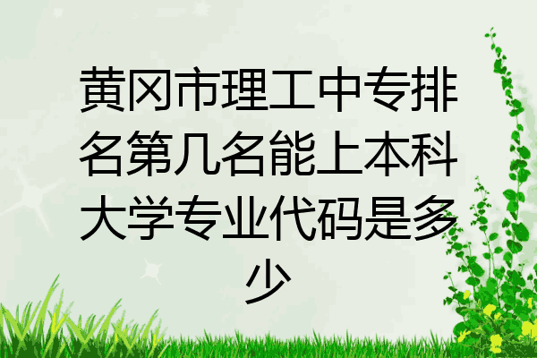 黄冈市理工中专排名第几名能上本科大学专业代码是多少