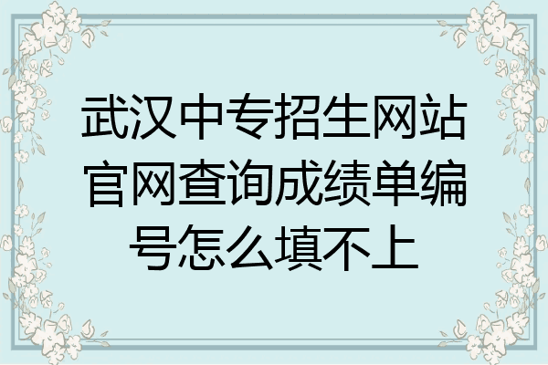 武汉中专招生网站官网查询成绩单编号怎么填不上