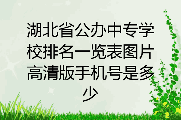 湖北省公办中专学校排名一览表图片高清版手机号是多少
