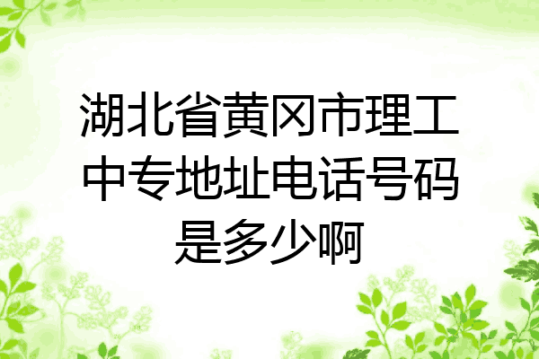 湖北省黄冈市理工中专地址电话号码是多少啊