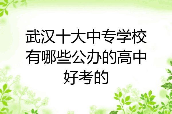 武汉十大中专学校有哪些公办的高中好考的