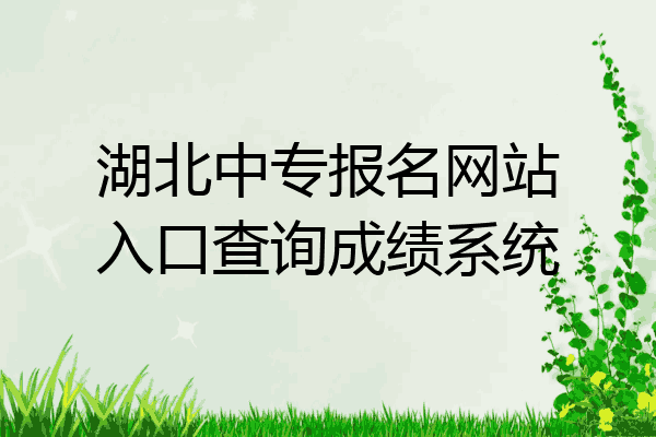 湖北中专报名网站入口查询成绩系统