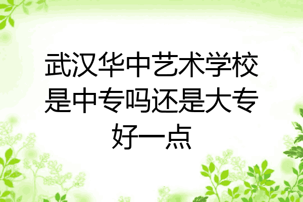 武汉华中艺术学校是中专吗还是大专好一点