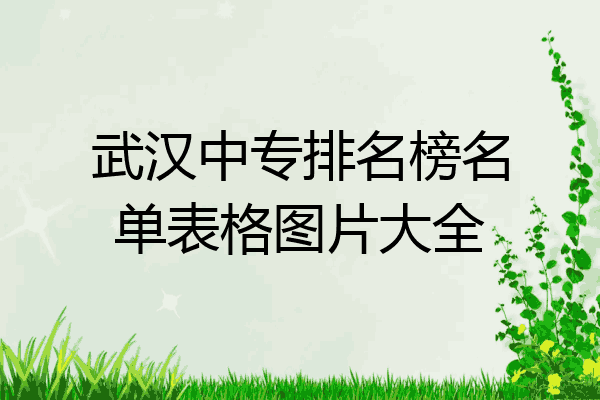 武汉中专排名榜名单表格图片大全