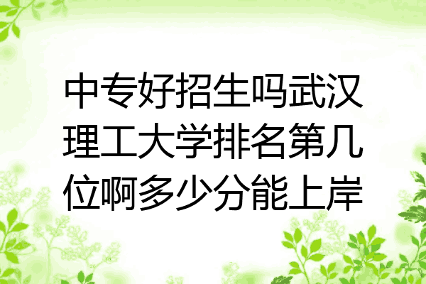 中专好招生吗武汉理工大学排名第几位啊多少分能上岸