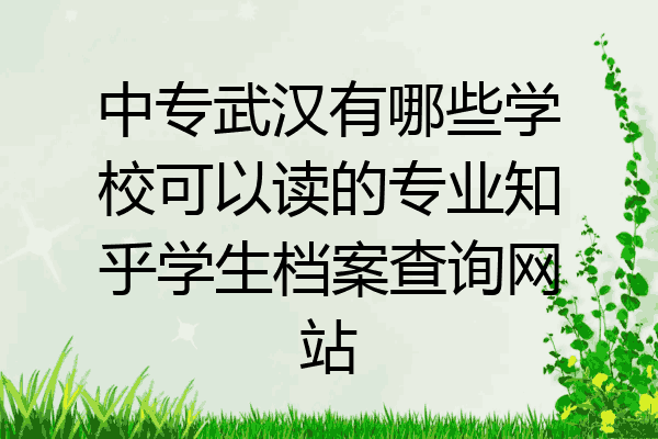 中专武汉有哪些学校可以读的专业知乎学生档案查询网站