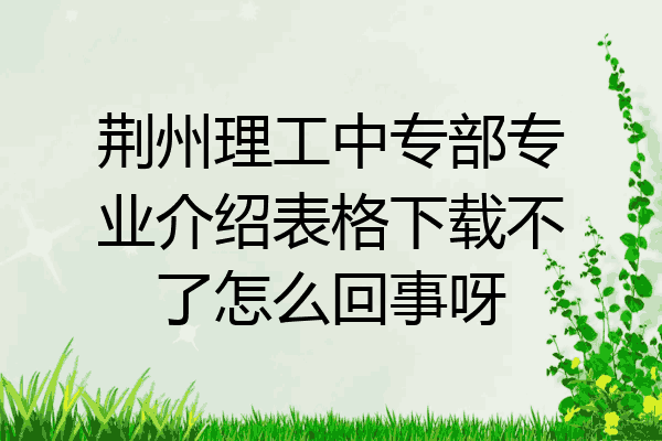 荆州理工中专部专业介绍表格下载不了怎么回事呀