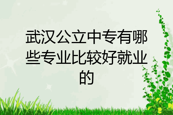 武汉公立中专有哪些专业比较好就业的