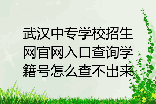 武汉中专学校招生网官网入口查询学籍号怎么查不出来