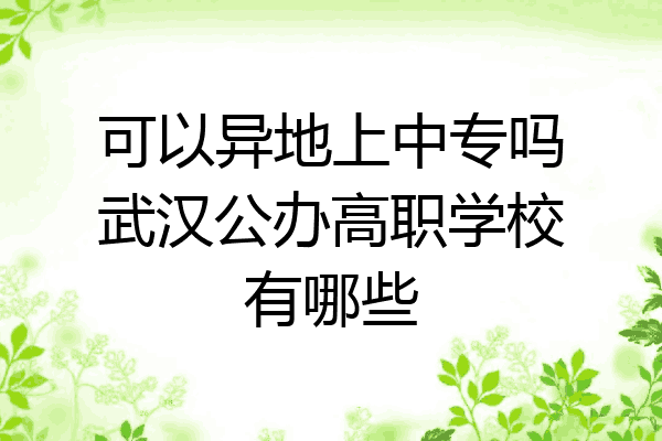 可以异地上中专吗武汉公办高职学校有哪些