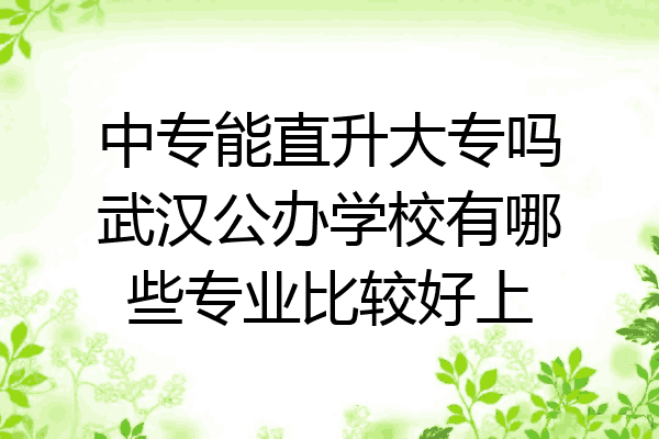 中专能直升大专吗武汉公办学校有哪些专业比较好上