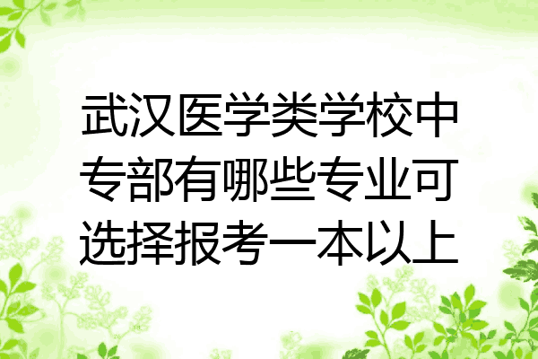 武汉医学类学校中专部有哪些专业可选择报考一本以上