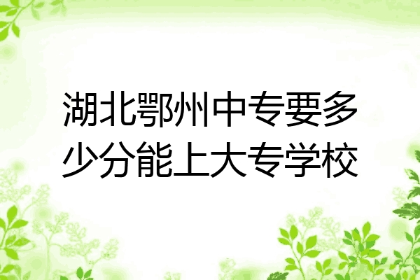 湖北鄂州中专要多少分能上大专学校