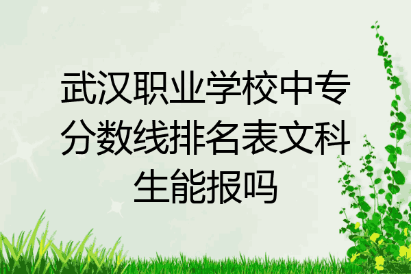 武汉职业学校中专分数线排名表文科生能报吗