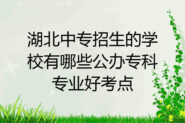湖北中专招生的学校有哪些公办专科专业好考点