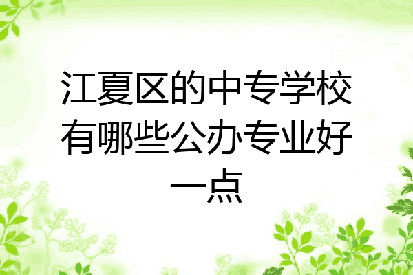 江夏区的中专学校有哪些公办专业好一点