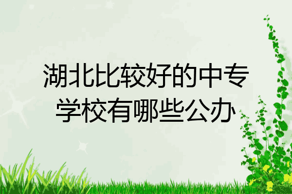 湖北比较好的中专学校有哪些公办