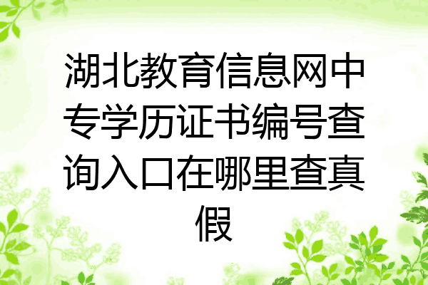 湖北教育信息网中专学历证书编号查询入口在哪里查真假