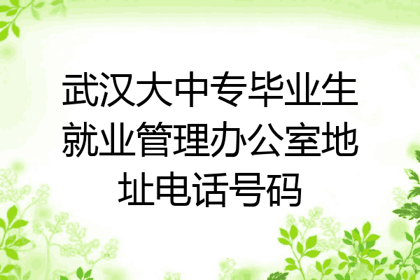武汉大中专毕业生就业管理办公室地址电话号码