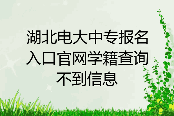 湖北电大中专报名入口官网学籍查询不到信息