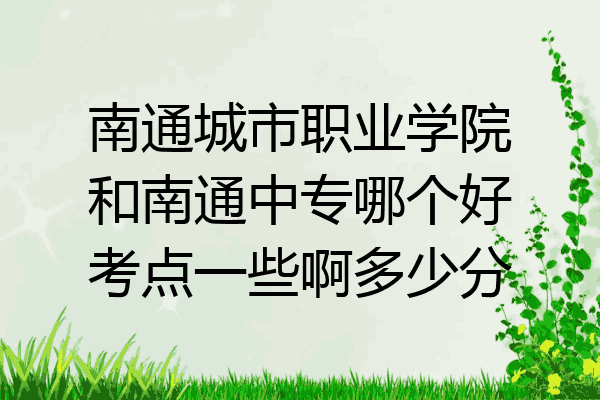 南通城市职业学院和南通中专哪个好考点一些啊多少分