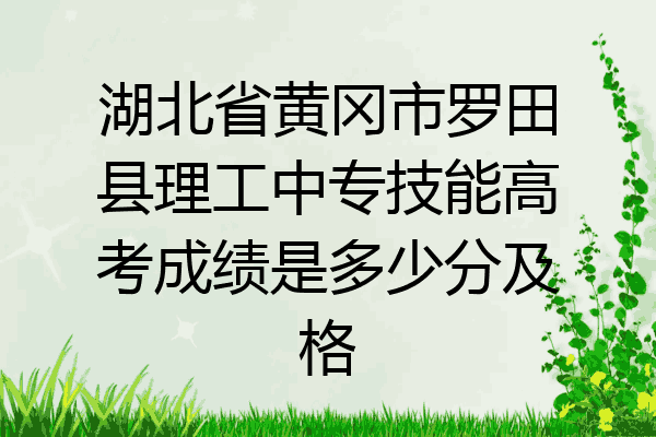 湖北省黄冈市罗田县理工中专技能高考成绩是多少分及格