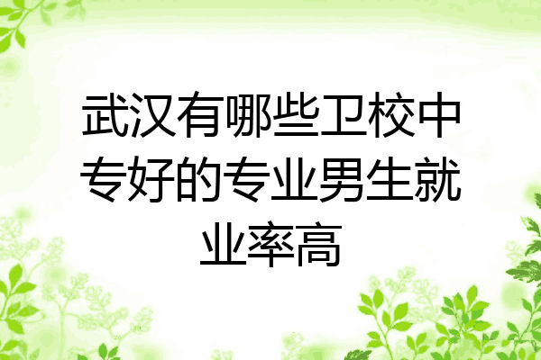 武汉有哪些卫校中专好的专业男生就业率高