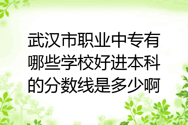 武汉市职业中专有哪些学校好进本科的分数线是多少啊