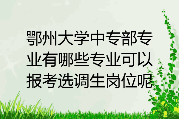 鄂州大学中专部专业有哪些专业可以报考选调生岗位呢