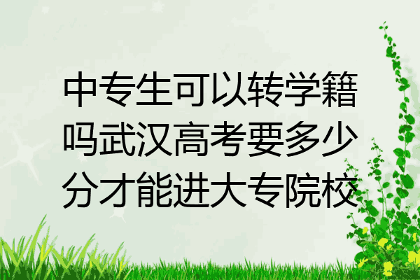 中专生可以转学籍吗武汉高考要多少分才能进大专院校