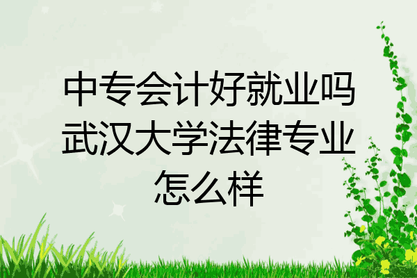 中专会计好就业吗武汉大学法律专业怎么样