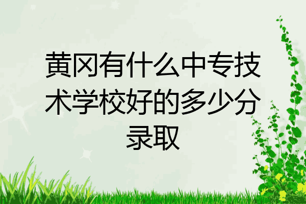黄冈有什么中专技术学校好的多少分录取