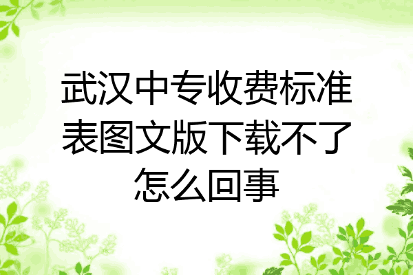 武汉中专收费标准表图文版下载不了怎么回事
