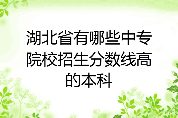 湖北省有哪些中专院校招生分数线高的本科