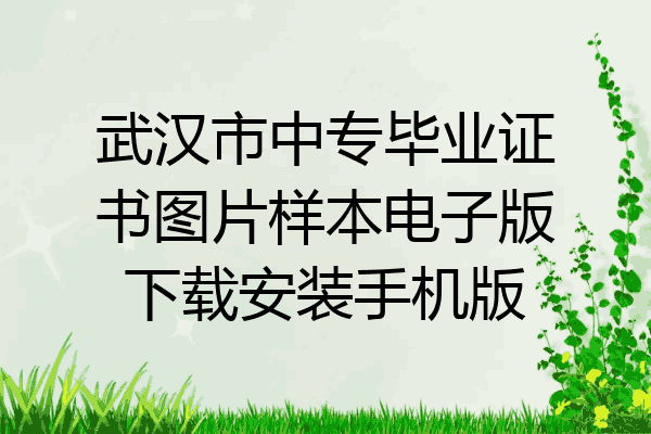 武汉市中专毕业证书图片样本电子版下载安装手机版