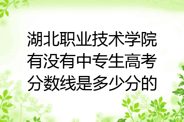 湖北职业技术学院有没有中专生高考分数线是多少分的