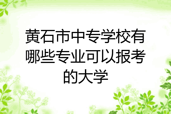 黄石市中专学校有哪些专业可以报考的大学