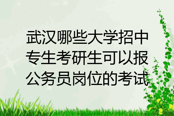 武汉哪些大学招中专生考研生可以报公务员岗位的考试