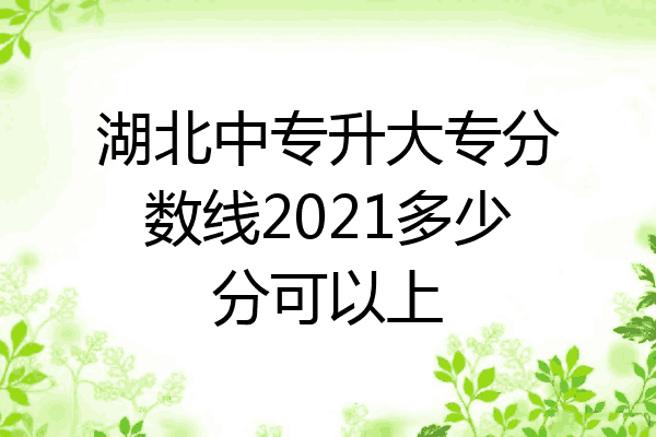 湖北中专升大专分数线2021多少分可以上